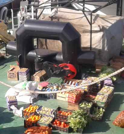 Provision Supply (Fish, Meat, Fruits, Vegetables & Cylinder)